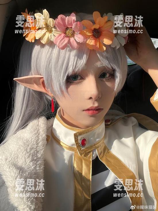 嗨，职业装和腥味猫罐唱双簧？这一套图不下载简直太亏了！